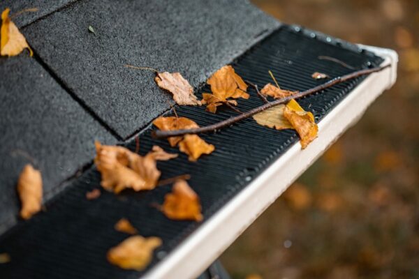 Hassle-Free Maintenance: Keep Your Gutters Clear With Raindrop Gutter Guards